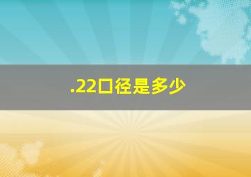 .22口径是多少