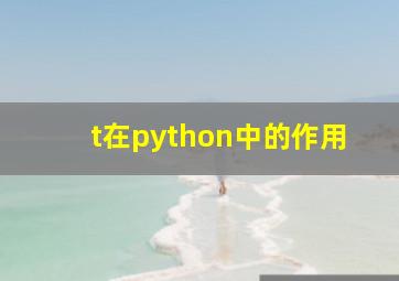 /t在python中的作用