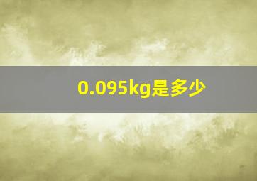 0.095kg是多少