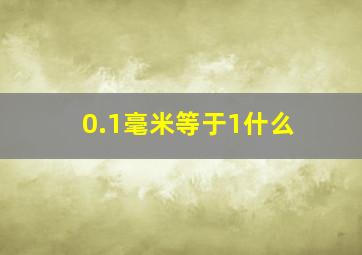 0.1毫米等于1什么