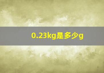 0.23kg是多少g