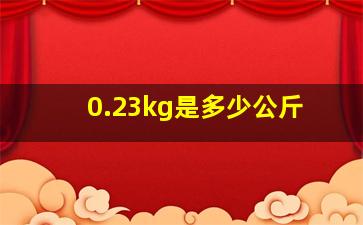 0.23kg是多少公斤