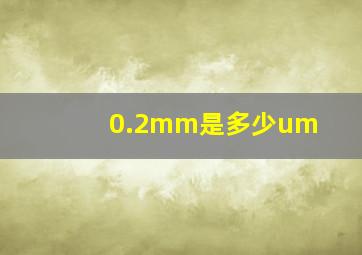 0.2mm是多少um