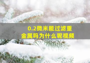 0.2微米能过滤重金属吗为什么呢视频