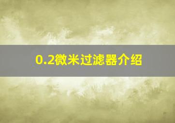 0.2微米过滤器介绍