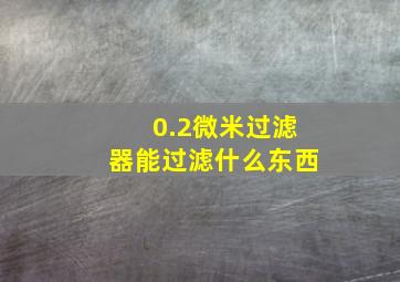 0.2微米过滤器能过滤什么东西