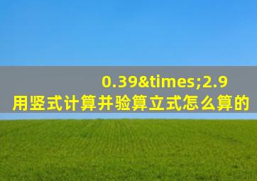 0.39×2.9用竖式计算并验算立式怎么算的