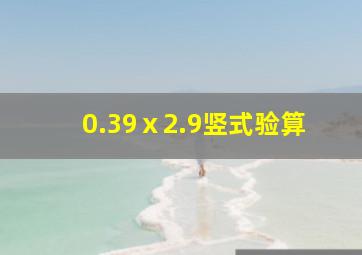 0.39ⅹ2.9竖式验算