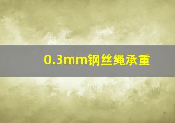 0.3mm钢丝绳承重