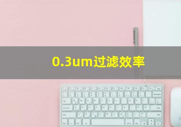 0.3um过滤效率