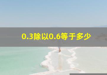 0.3除以0.6等于多少