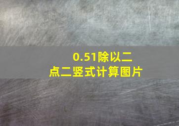 0.51除以二点二竖式计算图片