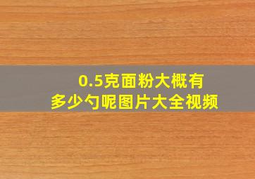 0.5克面粉大概有多少勺呢图片大全视频