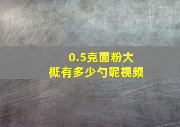 0.5克面粉大概有多少勺呢视频