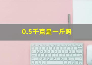 0.5千克是一斤吗