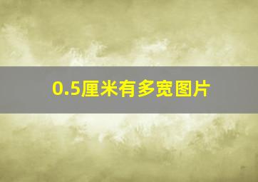 0.5厘米有多宽图片