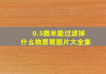 0.5微米能过滤掉什么物质呢图片大全集