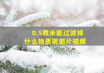 0.5微米能过滤掉什么物质呢图片视频