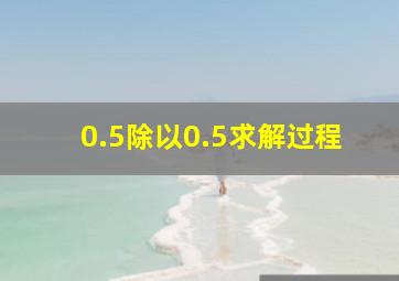 0.5除以0.5求解过程