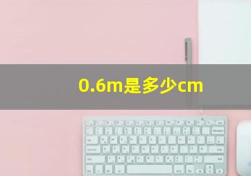 0.6m是多少cm