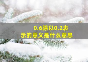 0.6除以0.2表示的意义是什么意思