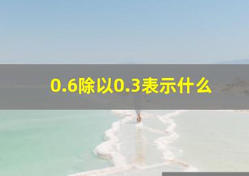 0.6除以0.3表示什么