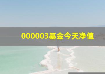 000003基金今天净值