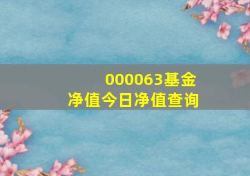 000063基金净值今日净值查询