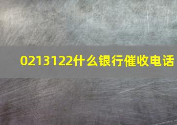 0213122什么银行催收电话