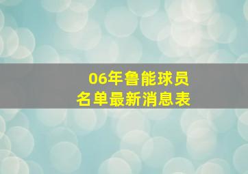 06年鲁能球员名单最新消息表