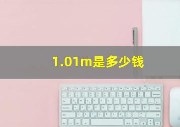 1.01m是多少钱