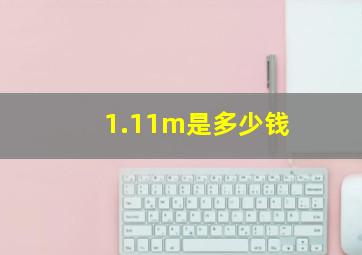 1.11m是多少钱