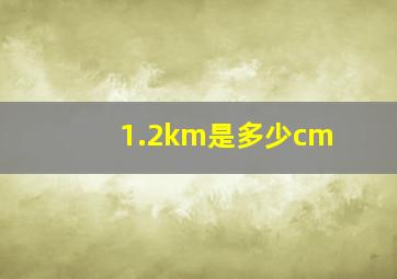 1.2km是多少cm