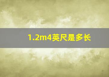 1.2m4英尺是多长