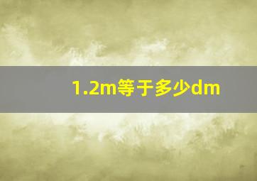 1.2m等于多少dm