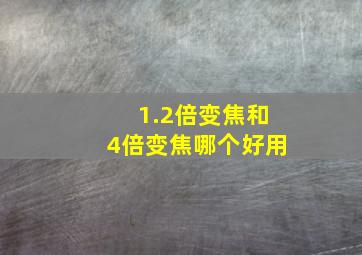 1.2倍变焦和4倍变焦哪个好用