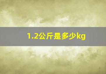 1.2公斤是多少kg