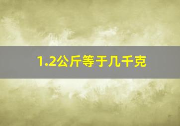 1.2公斤等于几千克