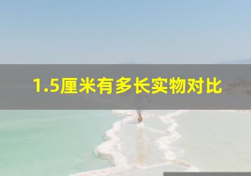 1.5厘米有多长实物对比