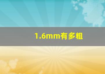 1.6mm有多粗