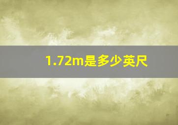 1.72m是多少英尺