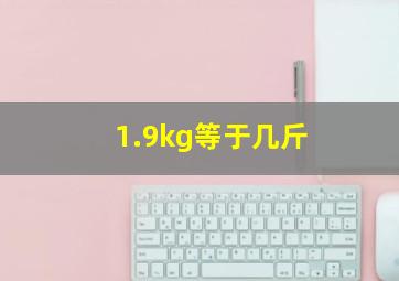 1.9kg等于几斤