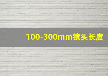 100-300mm镜头长度