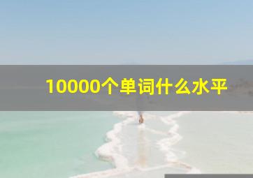 10000个单词什么水平