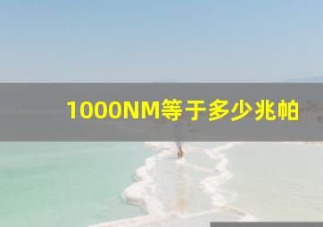 1000NM等于多少兆帕