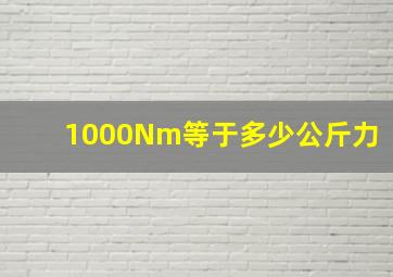 1000Nm等于多少公斤力