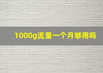 1000g流量一个月够用吗