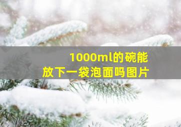 1000ml的碗能放下一袋泡面吗图片