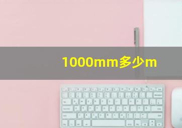 1000mm多少m