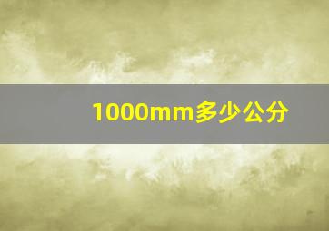 1000mm多少公分